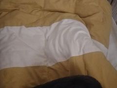 -蓉城阳光推拿馆(羊子山路店)