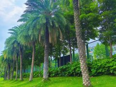 -成都南湖公园
