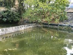 -大埔公路-马料水段香港中文大学(公交站)