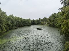 -上海海湾国家森林公园