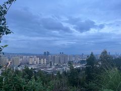 -长虫山生态公园风景林