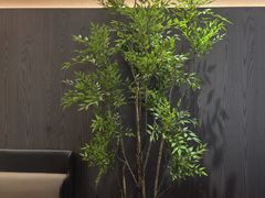 -苏淮景·苏闽融创菜·海鲜(原空港井河轩店)
