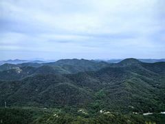 -金龙寺国家森林公园