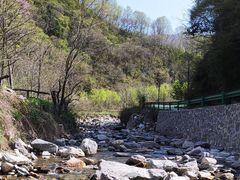 -秦岭风景区