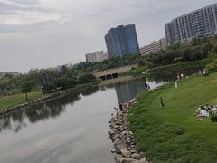 -宝安西湾红树林湿地公园