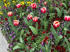 -浙江西子宾馆·瑶园咖啡厅