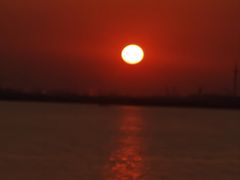 -碧海金沙