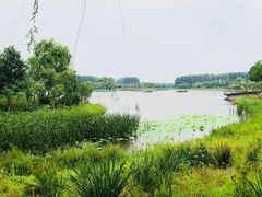 -东郊湿地公园