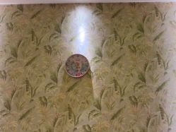 -雅曼妮spa美容养生