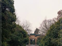 -灵谷景区