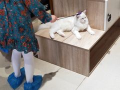 -藏猫猫咖啡主题馆(中央大道店)