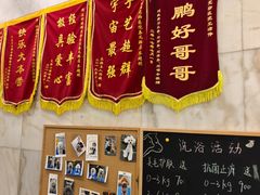 -瑞鹏宠物医院华南总院·夜诊·心脏科·骨科