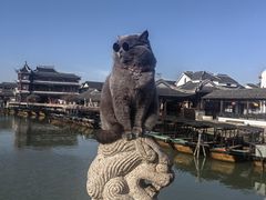 -锦溪古镇