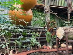 -呀路古热带植物园