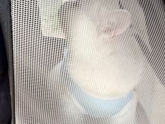 -创凡宠物医院·骨专科  猫科中心(西乡分院)