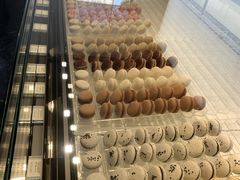 -BLACKSWAN黑天鹅(环球店)