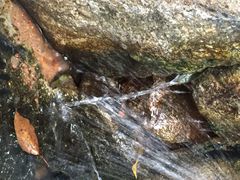 iphone_upload_pic-白沙古井