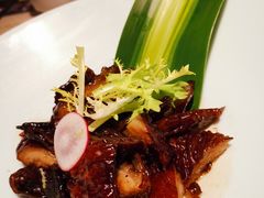 -桂满陇天书(南京德基旗舰店)