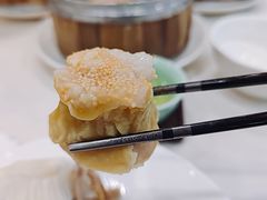 鲜虾蒸烧卖-凤凰楼酒家·粤宴点心(华强北店)
