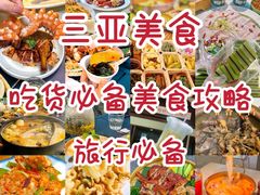 -三亚蜈支洲岛旅游区
