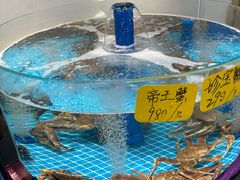 -大家发海鲜城夜排档(华山中路店)