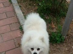 -火炉山森林公园