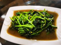 -葡萄园鱼庄(新津店)