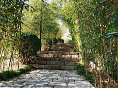 -竹子庵公园
