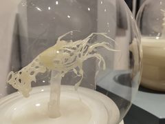 -上海当代艺术博物馆