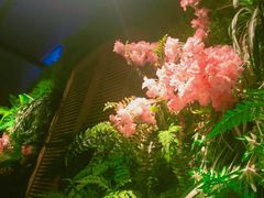-南城十里潮汕鲜牛火锅·鲜虾生滚粥(融汇老商埠店)