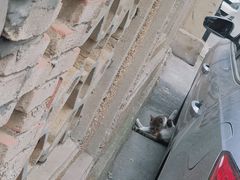 -观象山公园