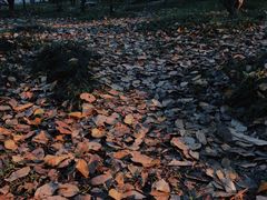 -华南国家植物园-售票处
