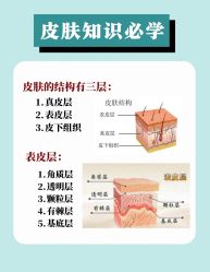 -Oasis Beauty水磨坊科技美肤中心