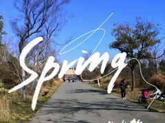 -广富林郊野公园