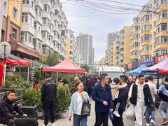 -哈尔滨道外花鸟鱼市场