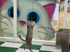 -天河领展广场