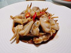 蛏子-维园悦谱·海派家常菜(乌鲁木齐南路店)