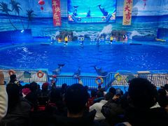-多彩贵州城极地海洋世界