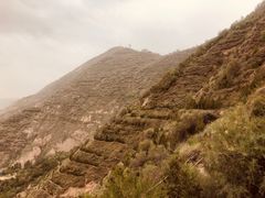 -兰山公园