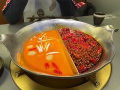 台式麻辣鸳鸯锅-湊湊火锅·茶憩(南京万象天地店)