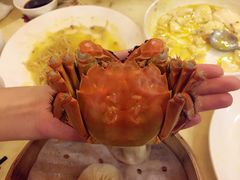 -王宝和酒家(黄浦店)