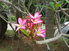 -三亚珠江南田温泉度假区