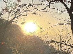 -终南山南五台景区