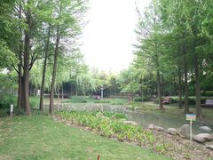 -陈家山荷花公园