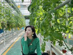 -兰陵国家农业公园