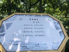 -北京麋鹿生态实验中心
