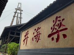 -燊海井