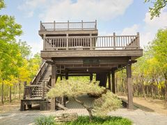 -天津东丽湖风景区