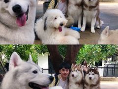 -TrueLove @ Neverland (Husky Cafe)