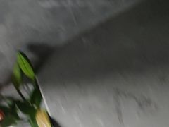 -添彩臻宴